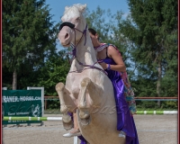1-13JUIN 0650